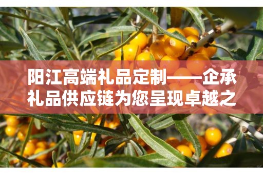 阳江高端礼品定制——企承礼品供应链为您呈现卓越之选